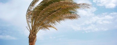 High Wind Protection Siding